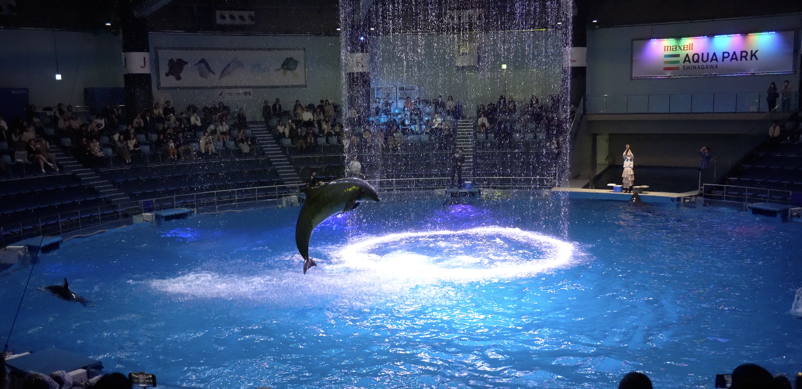 截圖 2023-11-15 下午4.18.19.png