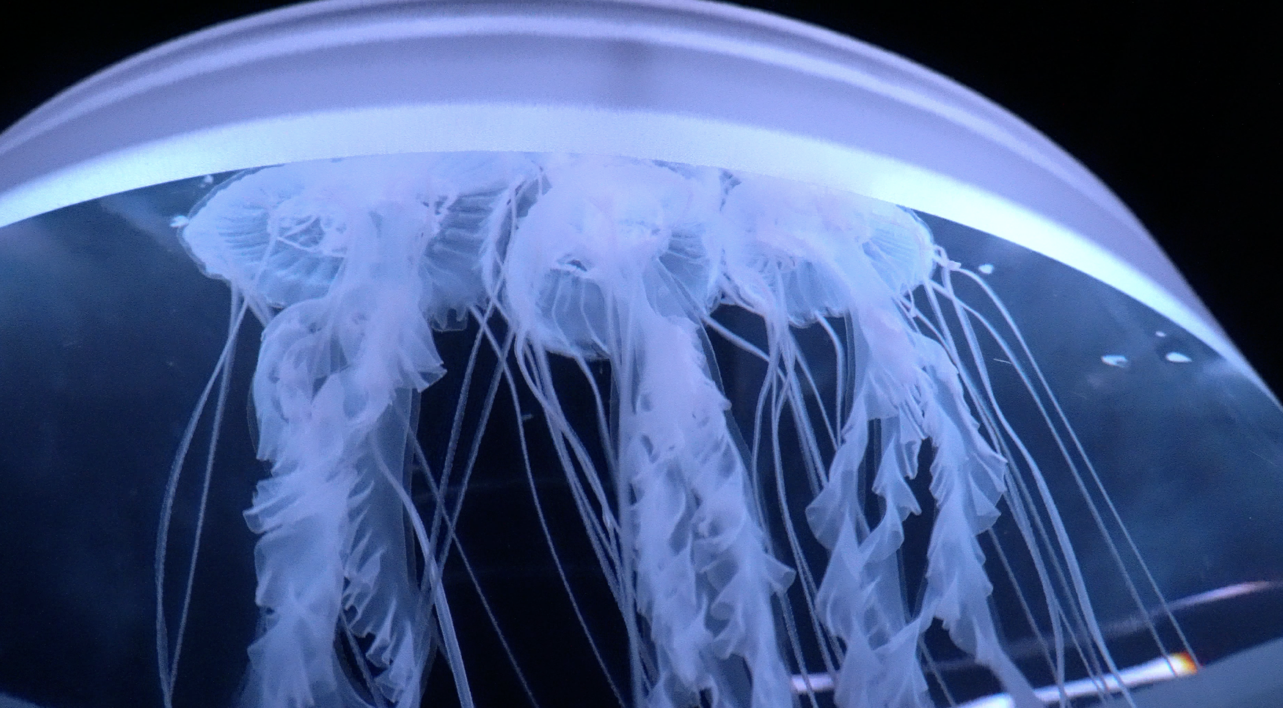 截圖 2023-11-15 下午4.18.19.png