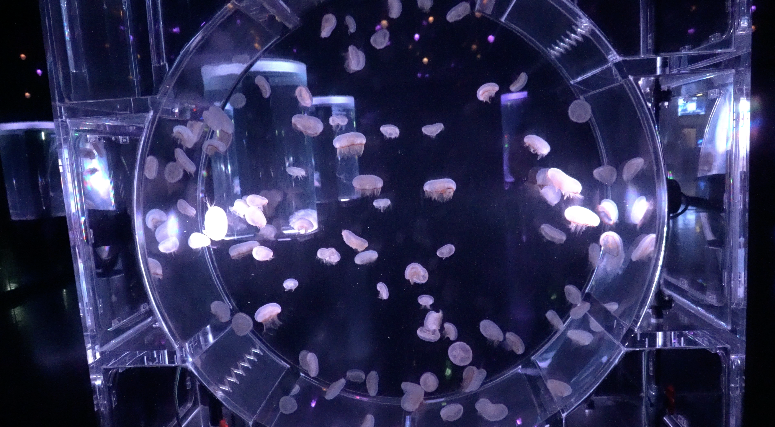 截圖 2023-11-15 下午4.18.19.png